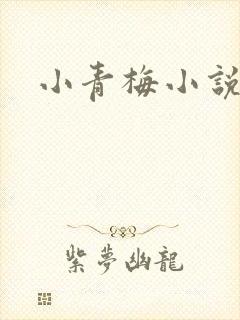小青梅小说