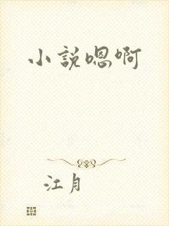 小说嗯啊