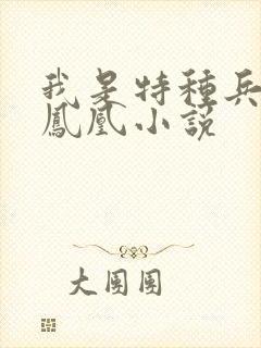我是特种兵之火凤凰小说