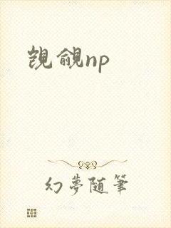 觊觎np