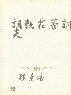 调教花蒂训诫从夫封面
