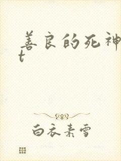 善良的死神txt
