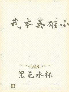 我本英雄小说