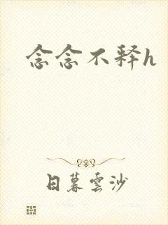念念不释h