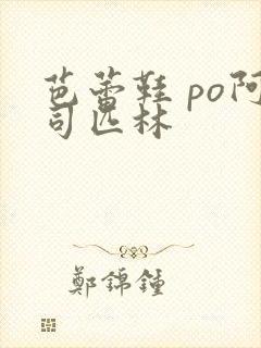 芭蕾鞋 po阿司匹林