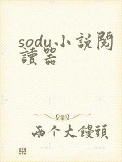 sodu小说阅读器
