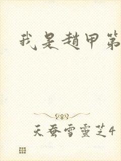 我是赵甲第小说