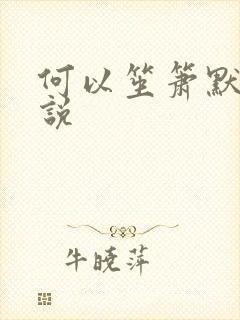 何以笙箫默 小说