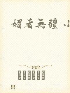 媚者无疆 小说封面