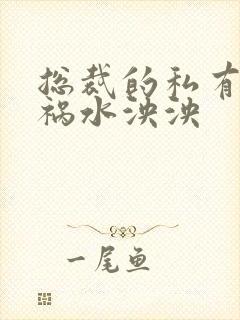 总裁的私有宝贝祸水泱泱