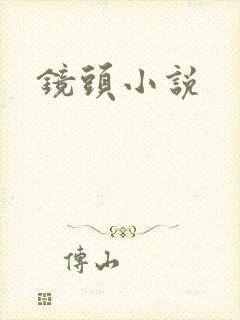 镜头小说