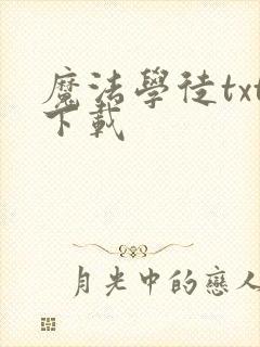 魔法学徒txt下载
