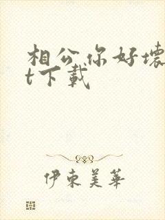 相公你好坏txt下载