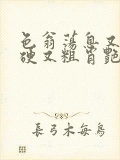 色翁荡息又大又硬又粗肖艳封面
