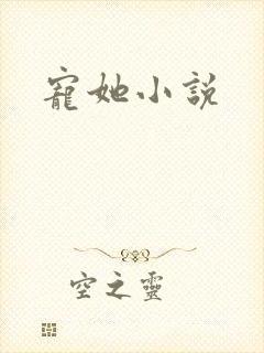 宠她小说