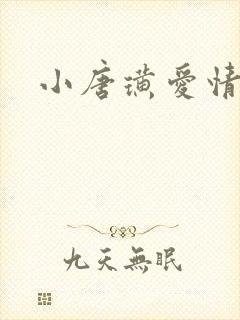 小唐璜爱情历史封面