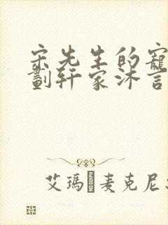 宋先生的宠妻计划轩家沐言封面