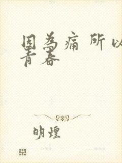 因为痛 所以叫青春