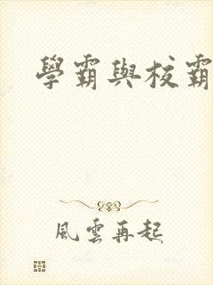 学霸与校霸
