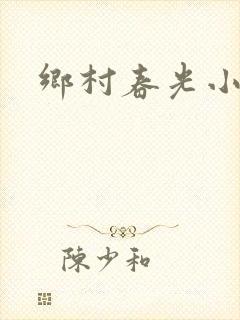 乡村春光小说