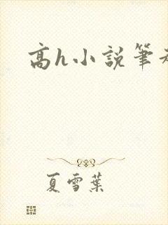 高h小说笔趣阁