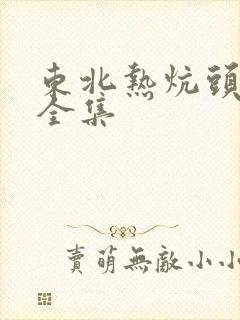东北热炕头小说全集