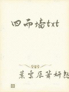 四面墙txt封面