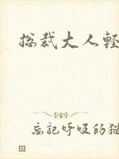 总裁大人轻一点封面