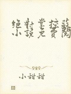 绝对掌控苏绵绵小说免费阅读全文封面
