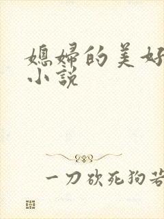 媳妇的美好时代小说