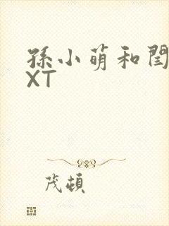 孙小萌和闫辰TXT封面