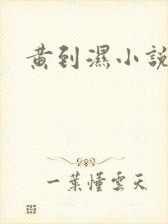 黄到湿小说