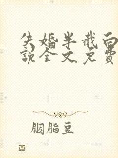 失婚半截白菜小说全文免费阅读