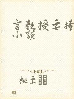 言教授要撞坏了小说