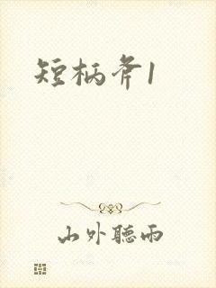 短柄斧1