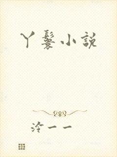 丫鬟小说