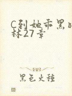 C到她乖黑暗森林27章