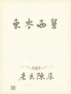 东岑西舅封面