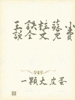 王铁柱苏小汐小说全文免费阅读最新章节封面