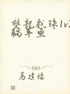 双龙戏珠1v2躺平鱼