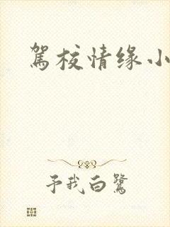 驾校情缘小说封面
