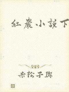 红岩小说下载