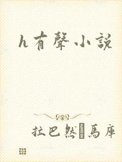 h有声小说
