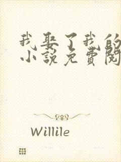 我娶了我的妈妈小说免费阅读封面