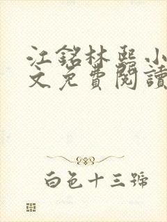 江铭林熙小说全文免费阅读