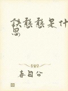 铁憨憨是什么意思