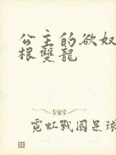 公主的欲奴h四根双龙