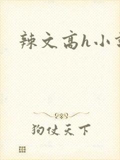辣文高h小说
