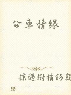 公车情缘封面
