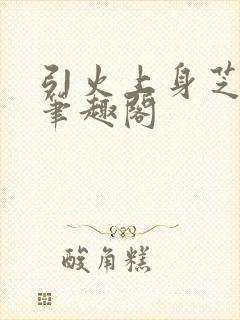 引火上身芝麻糖笔趣阁